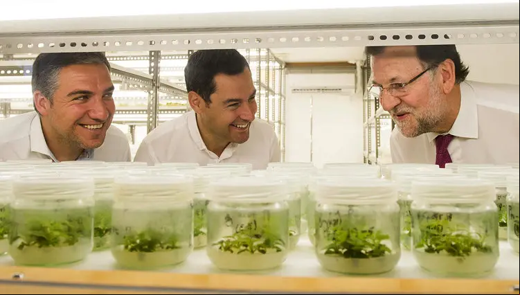 fotonoticia-rajoy