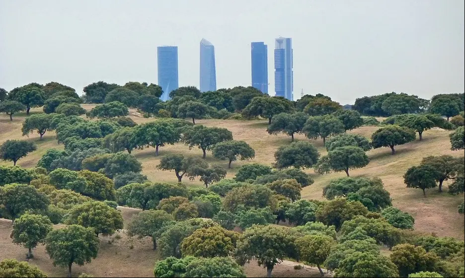 Monte de El Pardo