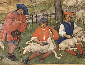 trashumancia (2)