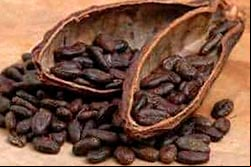El cacao, moneda de intercambio