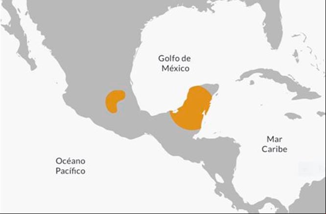 Ubicación en el mapa de la cultura tolteca